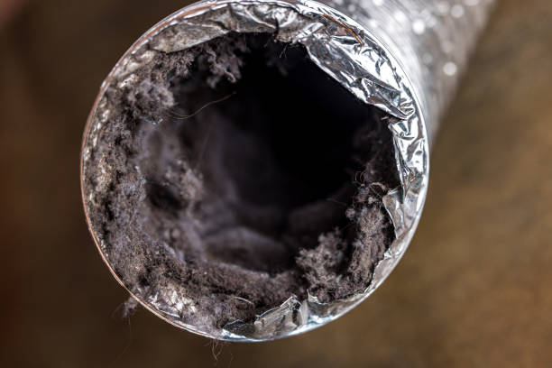 Best Affordable HVAC Duct Cleaning  in Gibsonburg, OH