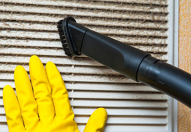 Best Air Duct Cleaning Near Me  in Gibsonburg, OH